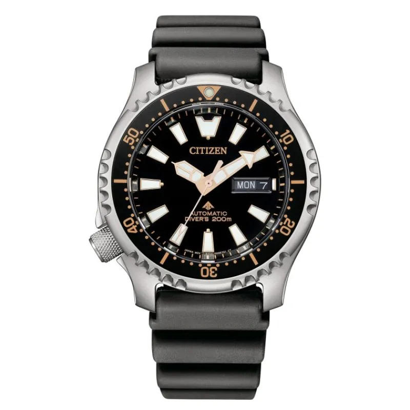 Promaster MarineNY0160-66E<Citizen Clearance