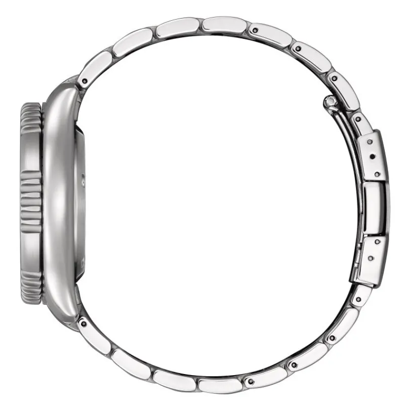 Promaster MarineNY0160-66E<Citizen Clearance