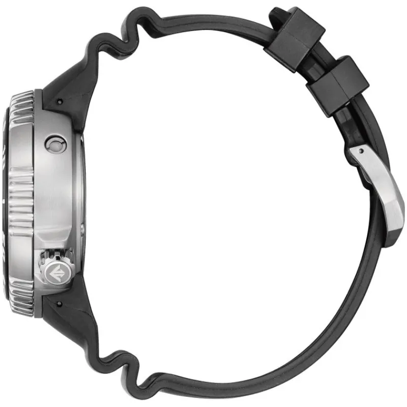 Promaster Professional Diver 300mBN1024-01Z<Citizen Discount