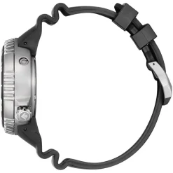 Promaster Professional Diver 300mBN1024-01E<Citizen Best