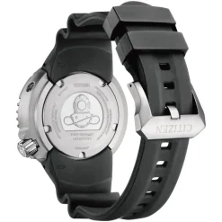 Promaster Professional Diver 300mBN1024-01E<Citizen Best