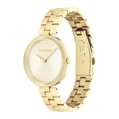Montre Timeless pour Femme25100014<Calvin Klein Best