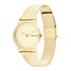 Montre Timeless pour Femme25100035<Calvin Klein Fashion