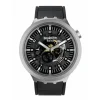 Big Bold IronySB07S105 - DARK IRONY<Swatch Discount